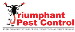 Pest Control in Gainesville GA